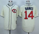 Chicago Cubs #14 Ernie Banks Cream 1929 Turn Back The Clock Stitched Jersey