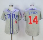 Chicago Cubs #14 Ernie Banks Grey Flexbase Collection Alternate Road Stitched Jersey