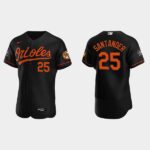 Men's Baltimore Orioles #25 Anthony Santander 30th Anniversary Black Flex Base Jersey