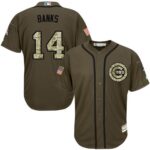 Chicago Cubs #14 Ernie Banks Green Salute to Service Stitched Jersey