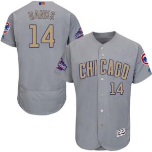 Chicago Cubs #14 Ernie Banks Grey Flexbase 2017 Gold Program Stitched Jersey