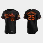 Men's Baltimore Orioles #25 Anthony Santander Black Alternate Flex Base Jersey
