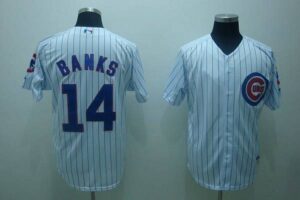 Chicago Cubs #14 Ernie Banks Stitched White Jersey