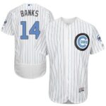 Chicago Cubs #14 Ernie Banks White(Blue Strip) Flexbase Collection 2016 Father's Day Stitched Jersey