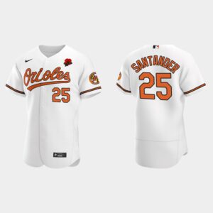 Men's Baltimore Orioles #25 Anthony Santander 2021 Memorial Day White Flex Base Jersey