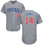 Chicago Cubs #14 Ernie Banks Grey Flexbase Collection Road Stitched Jersey