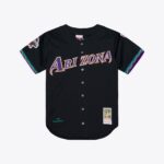 Arizona Diamondbacks Randy Johnson #51 Mitchell & Ness Black 2001 Authentic Jersey