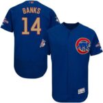 Chicago Cubs #14 Ernie Banks Blue Flexbase 2017 Gold Program Stitched Jersey
