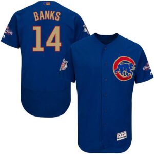 Chicago Cubs #14 Ernie Banks Blue Flexbase 2017 Gold Program Stitched Jersey