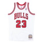 Authentic Jersey Chicago Bulls Home 1995-96 Michael