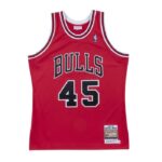 Authentic Jersey Chicago Bulls 1994-95 Michael