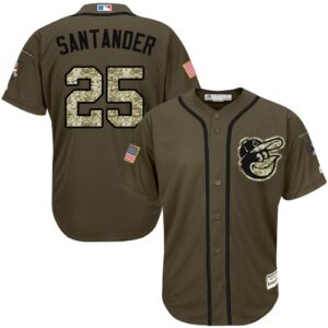Baltimore Orioles #25 Anthony Santander Green Salute to Service Stitched Jersey